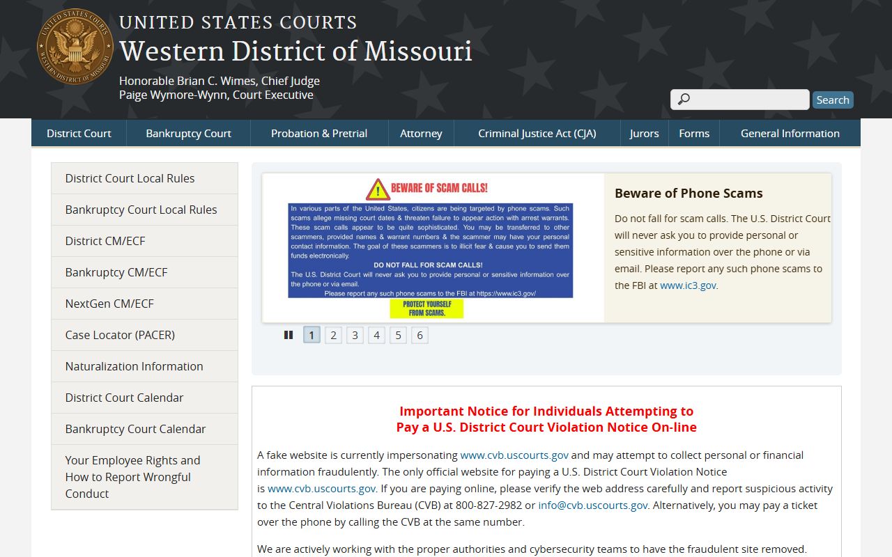 Ray County Circuit Court records and Western District of Missouri federal court